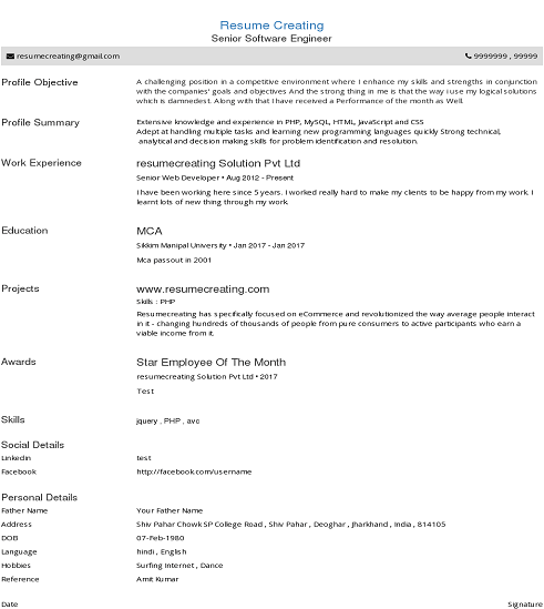 Portrait resume template preview